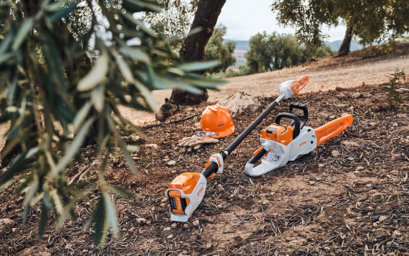 Chainsaw vs Pole Pruner: what is the difference?