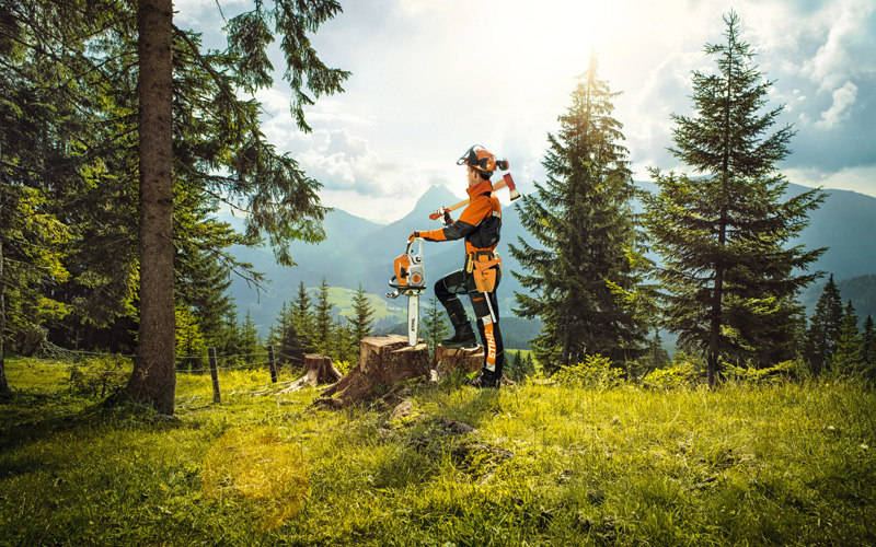 Felling a Tree with a Chainsaw