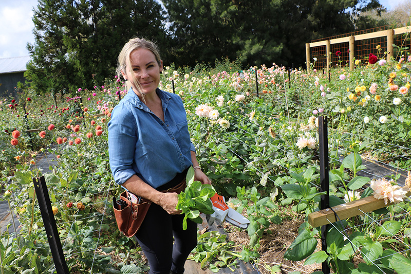 AS Battery Tools With Lorien - State Of Bloom Flower Farm