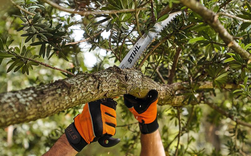 STIHL Pruning Saws Buyers Guide