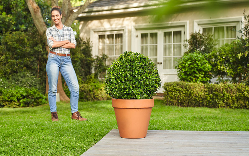 Smiling woman looking at finished topiary of plant in clay pot on terrace